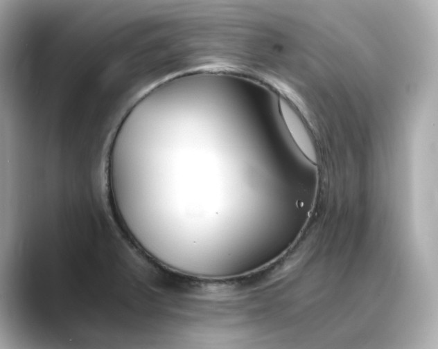 X0000088841375200706211825