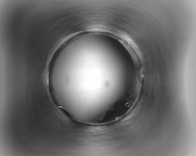 X0000088841376200706211825