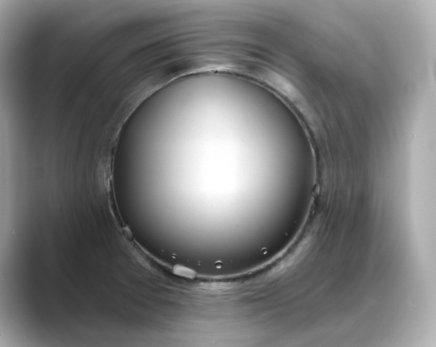 X0000088841377200706211825