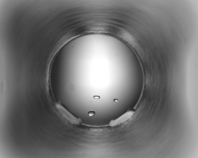 X0000088841378200706211825