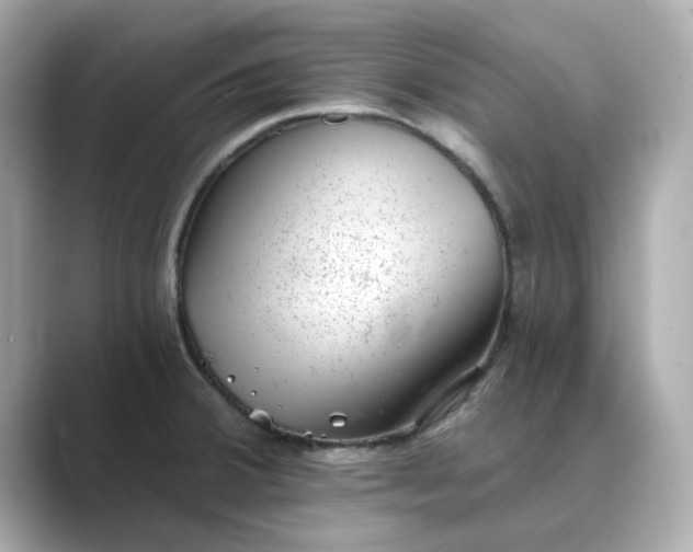 X0000088841380200706211825