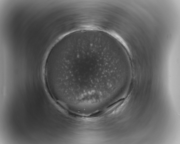 X0000088841381200706211825