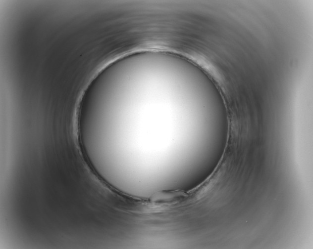 X0000088841382200706211825