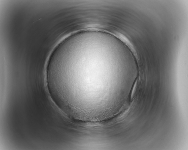 X0000088841384200706211825