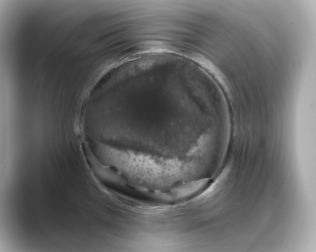 X0000088841385200706211825