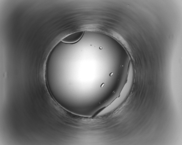 X0000088841386200706211825