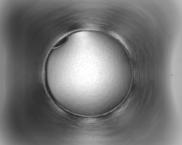 X0000088841387200706211825