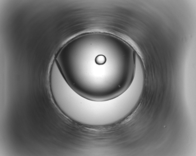 X0000088841388200706211825