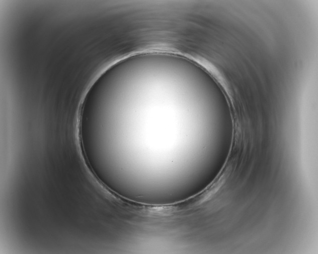 X0000088841390200706211825