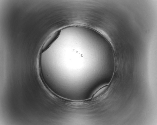 X0000088841391200706211825