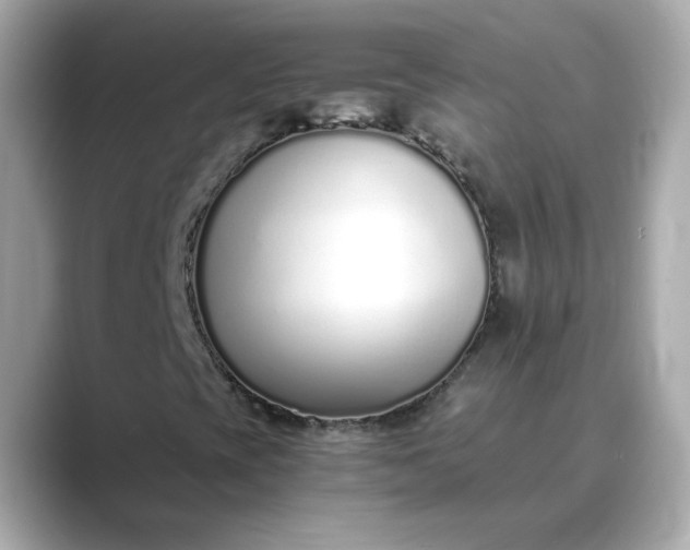 X0000088841393200706211824