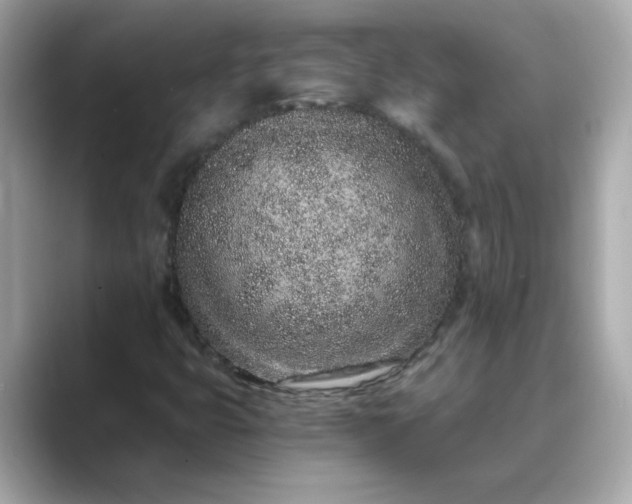 X0000088841399200706211825