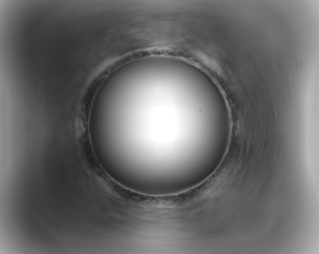 X0000088841400200706211825