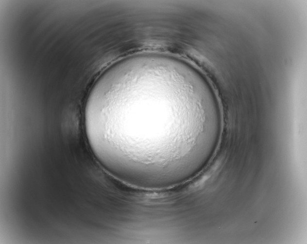 X0000088841401200706211825