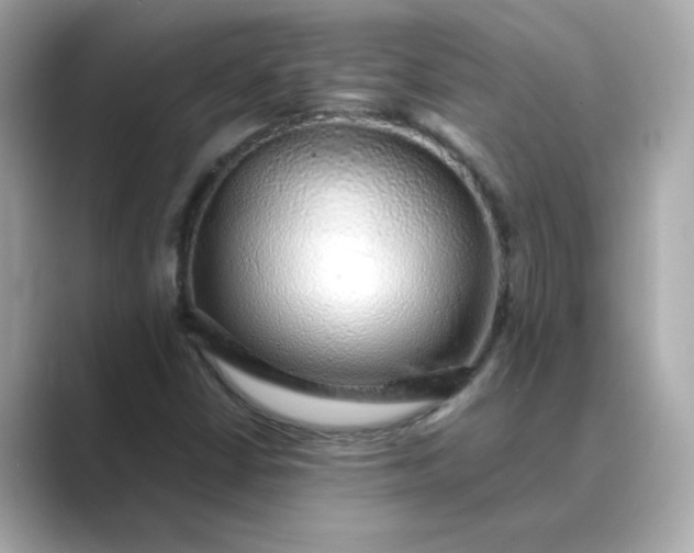 X0000088841402200706211825