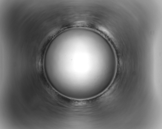 X0000088841403200706211825