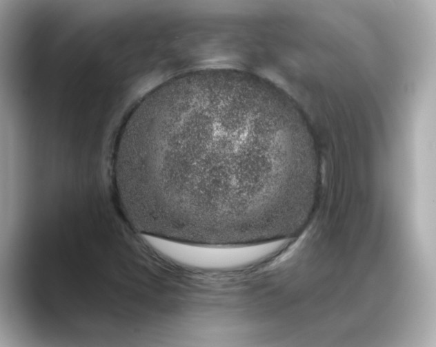 X0000088841405200706211825