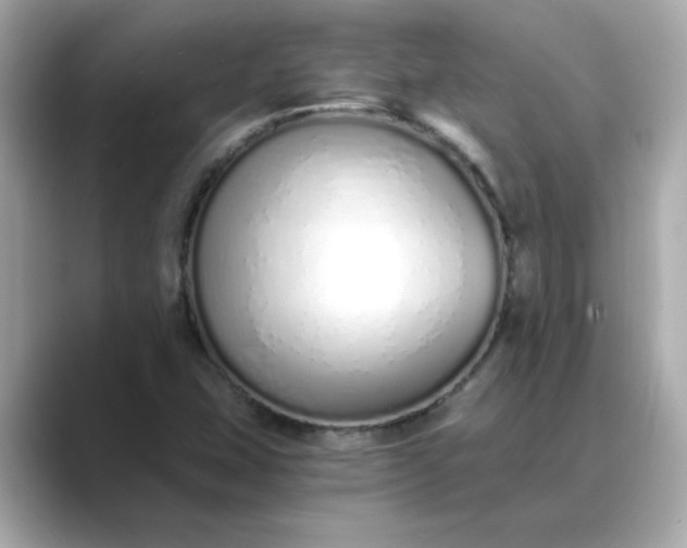 X0000088841407200706211825