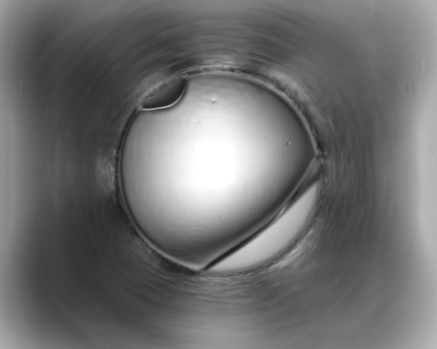 X0000088841409200706211825