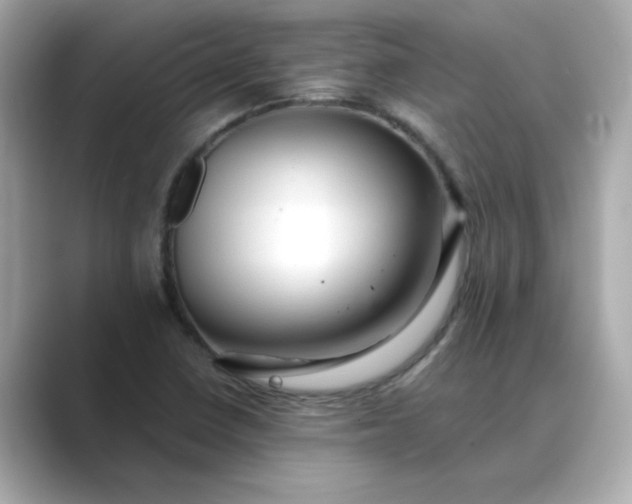 X0000088841410200706211825