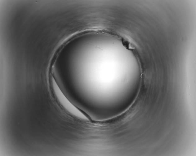 X0000088841412200706211825