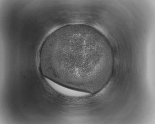 X0000088841413200706211825