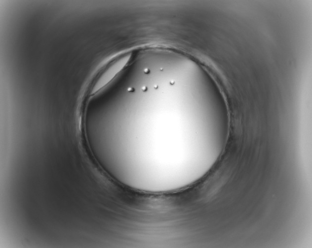 X0000088841416200706211825