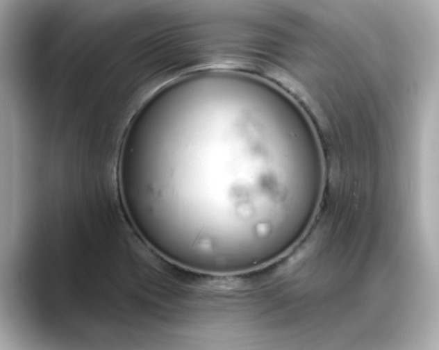 X0000088841417200706211825