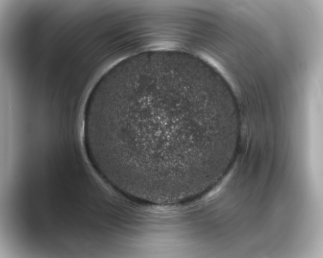 X0000088841418200706211825