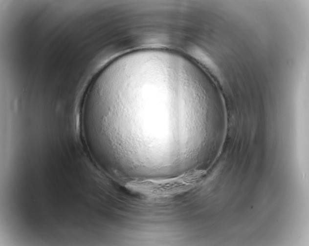 X0000088841419200706211825