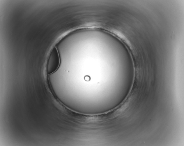 X0000088841421200706211825