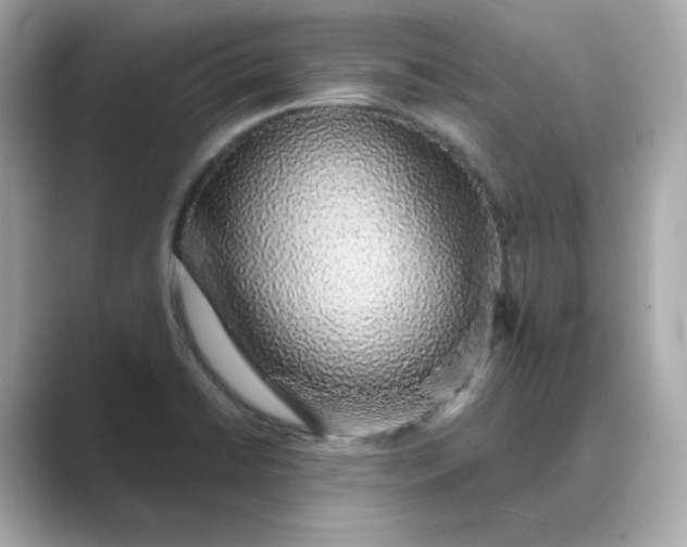 X0000088841422200706211825