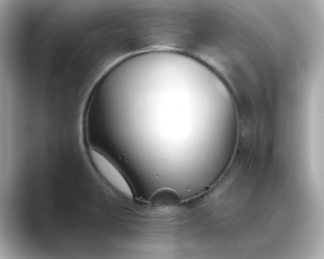 X0000088841423200706211825