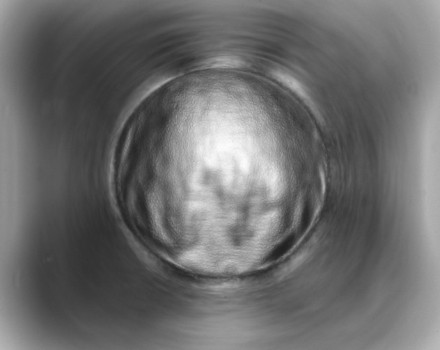 X0000088841426200706211825