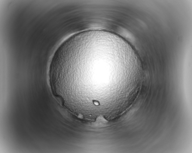 X0000088841427200706211825