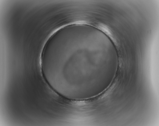 X0000088841428200706211825