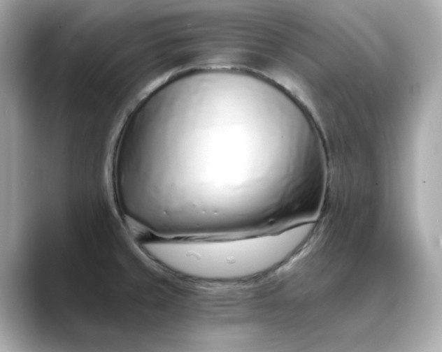 X0000088841429200706211825