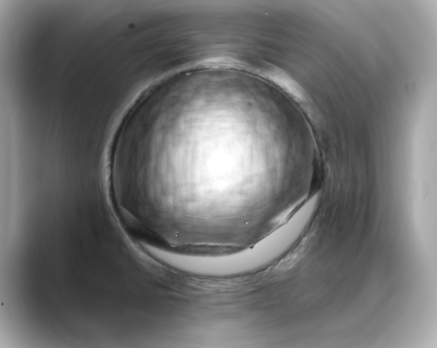 X0000088841430200706211825