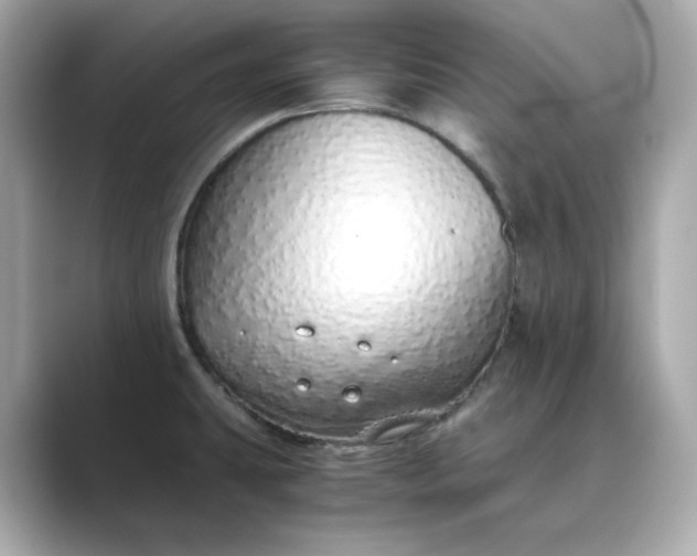 X0000088841431200706211825