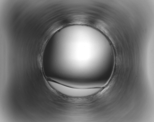 X0000088841433200706211825