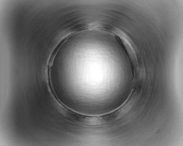 X0000088841434200706211825