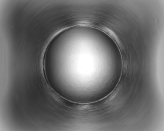 X0000088841435200706211825