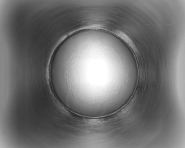 X0000088841436200706211825