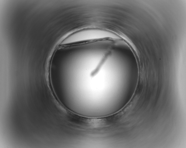 X0000088841437200706211825