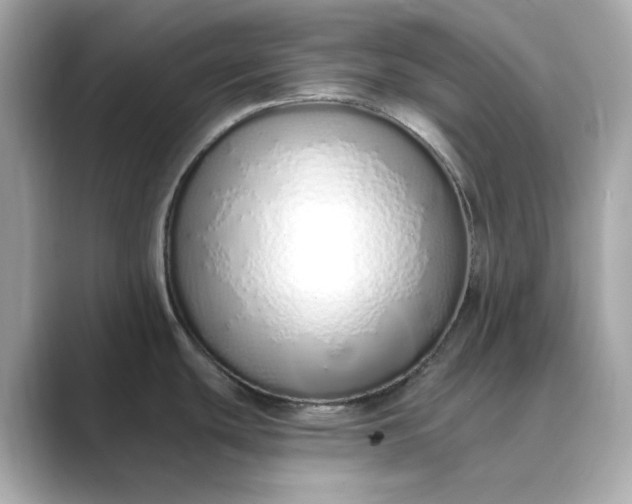 X0000088841439200706211825