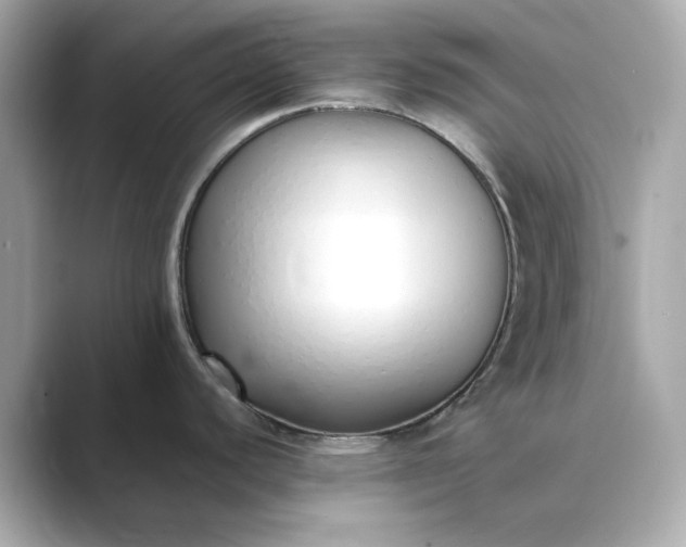 X0000088841440200706211825