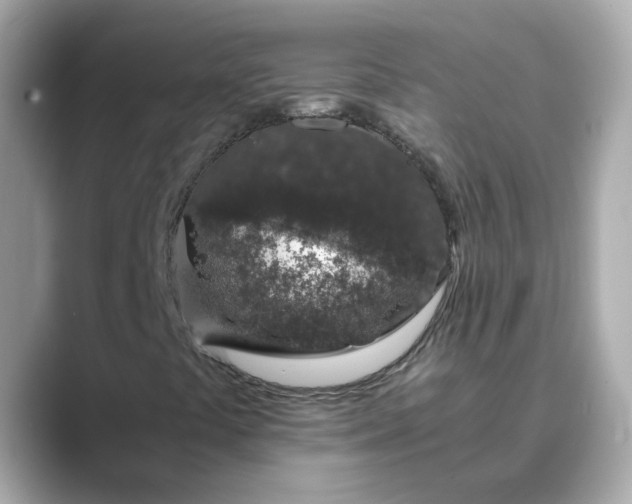 X0000088841441200706211824