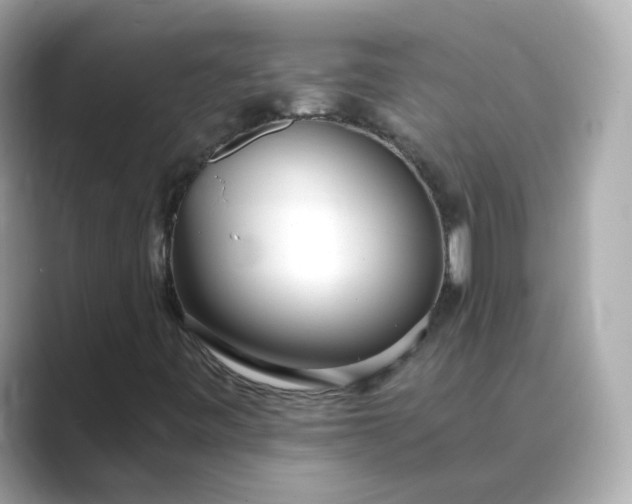 X0000088841443200706211824