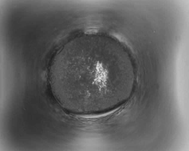 X0000088841445200706211824