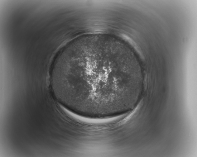 X0000088841449200706211824